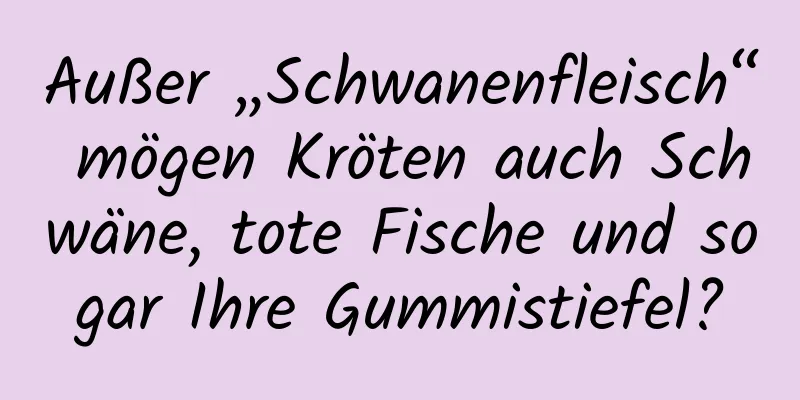 Außer „Schwanenfleisch“ mögen Kröten auch Schwäne, tote Fische und sogar Ihre Gummistiefel?
