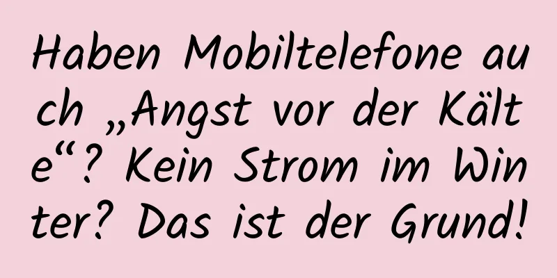Haben Mobiltelefone auch „Angst vor der Kälte“? Kein Strom im Winter? Das ist der Grund!