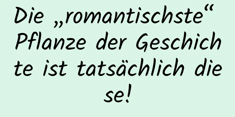 Die „romantischste“ Pflanze der Geschichte ist tatsächlich diese!