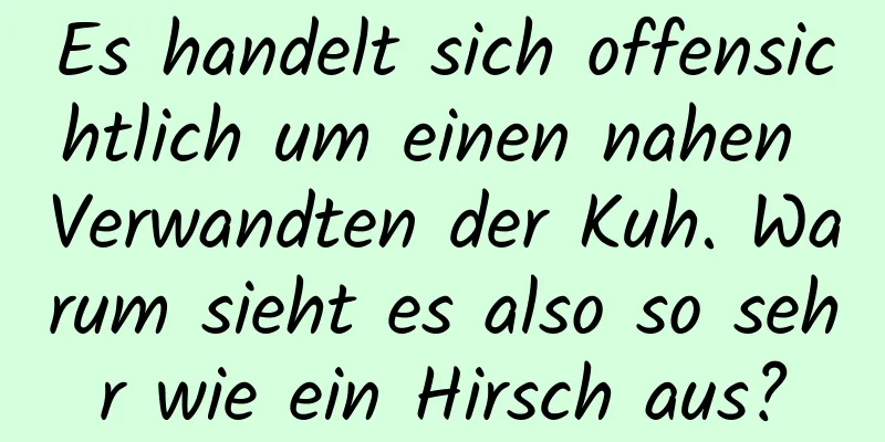 Es handelt sich offensichtlich um einen nahen Verwandten der Kuh. Warum sieht es also so sehr wie ein Hirsch aus?