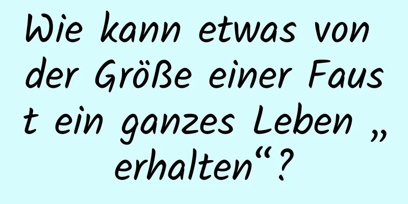 Wie kann etwas von der Größe einer Faust ein ganzes Leben „erhalten“?