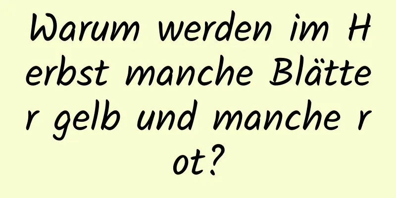 Warum werden im Herbst manche Blätter gelb und manche rot?