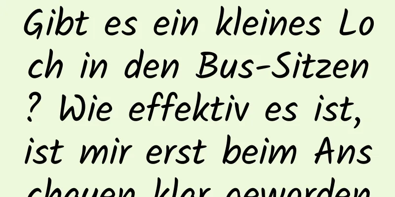 Gibt es ein kleines Loch in den Bus-Sitzen? Wie effektiv es ist, ist mir erst beim Anschauen klar geworden
