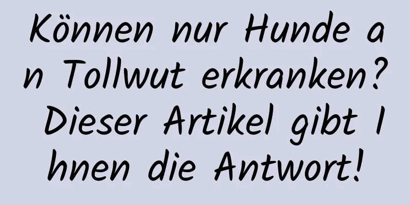 Können nur Hunde an Tollwut erkranken? Dieser Artikel gibt Ihnen die Antwort!