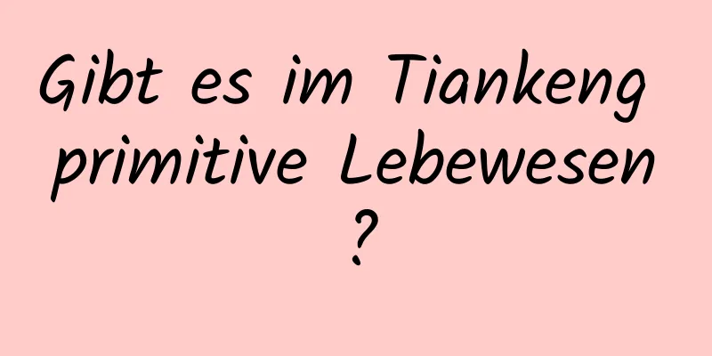 Gibt es im Tiankeng primitive Lebewesen?