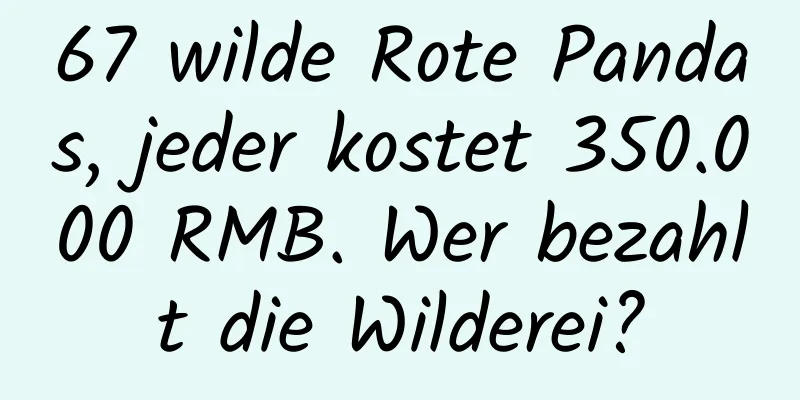 67 wilde Rote Pandas, jeder kostet 350.000 RMB. Wer bezahlt die Wilderei?