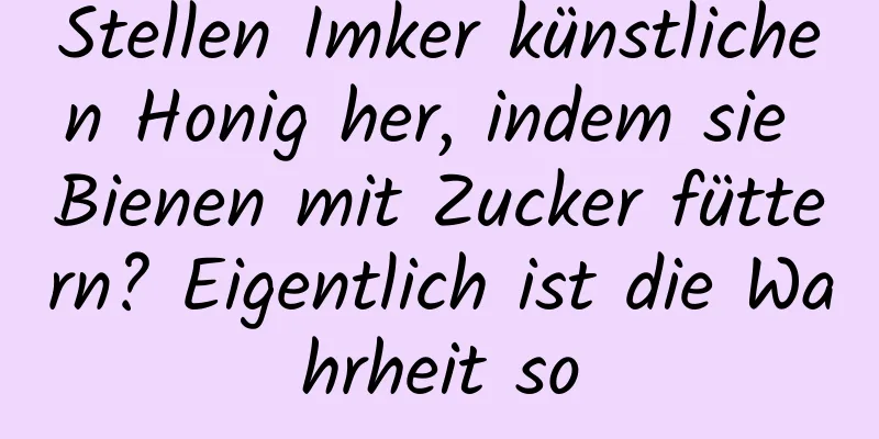 Stellen Imker künstlichen Honig her, indem sie Bienen mit Zucker füttern? Eigentlich ist die Wahrheit so
