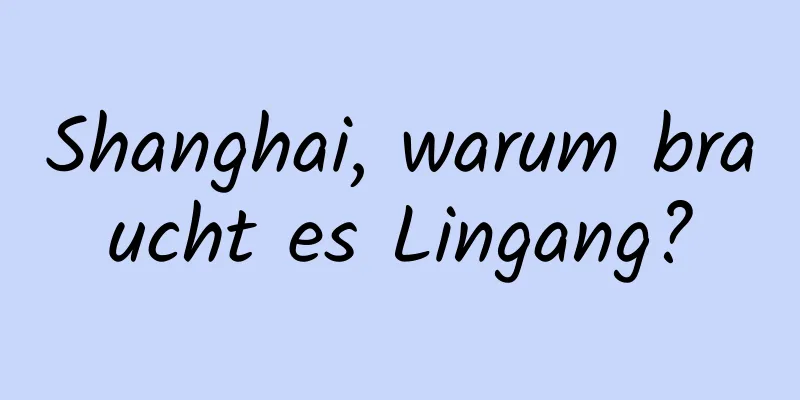 Shanghai, warum braucht es Lingang?