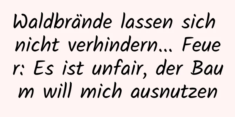Waldbrände lassen sich nicht verhindern... Feuer: Es ist unfair, der Baum will mich ausnutzen