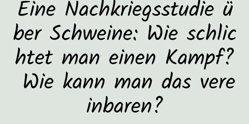 Eine Nachkriegsstudie über Schweine: Wie schlichtet man einen Kampf? Wie kann man das vereinbaren?