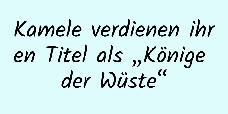 Kamele verdienen ihren Titel als „Könige der Wüste“