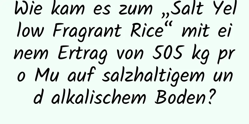 Wie kam es zum „Salt Yellow Fragrant Rice“ mit einem Ertrag von 505 kg pro Mu auf salzhaltigem und alkalischem Boden?