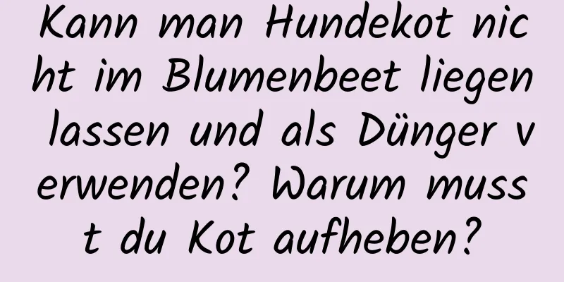 Kann man Hundekot nicht im Blumenbeet liegen lassen und als Dünger verwenden? Warum musst du Kot aufheben?