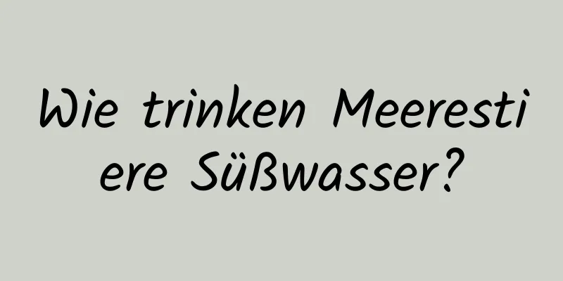 Wie trinken Meerestiere Süßwasser?