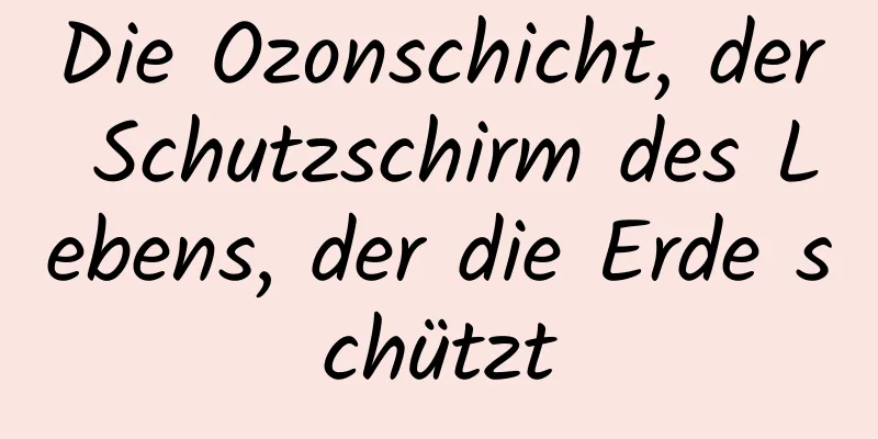 Die Ozonschicht, der Schutzschirm des Lebens, der die Erde schützt