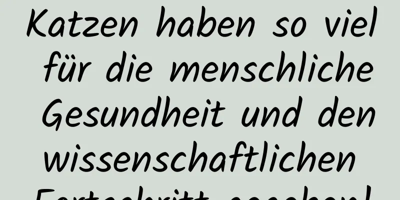 Katzen haben so viel für die menschliche Gesundheit und den wissenschaftlichen Fortschritt gegeben!