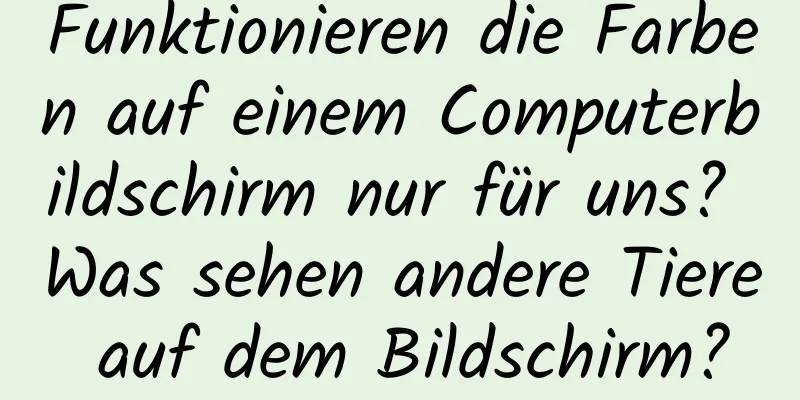 Funktionieren die Farben auf einem Computerbildschirm nur für uns? Was sehen andere Tiere auf dem Bildschirm?