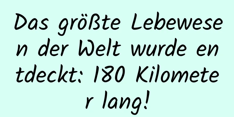 Das größte Lebewesen der Welt wurde entdeckt: 180 Kilometer lang!