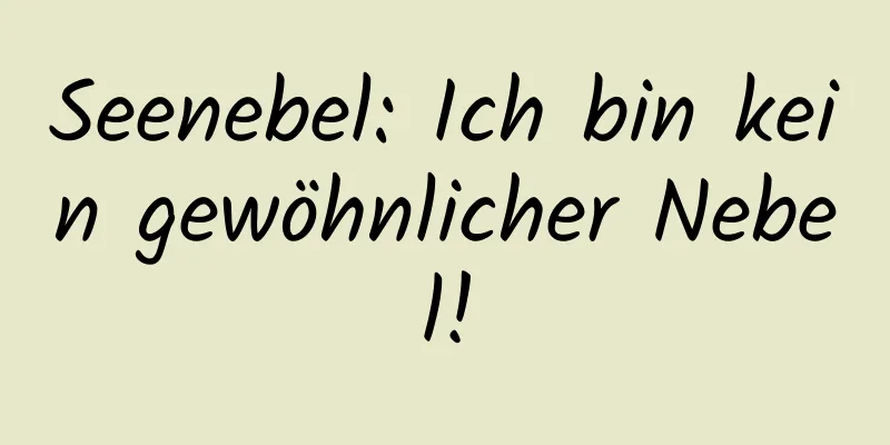 Seenebel: Ich bin kein gewöhnlicher Nebel!