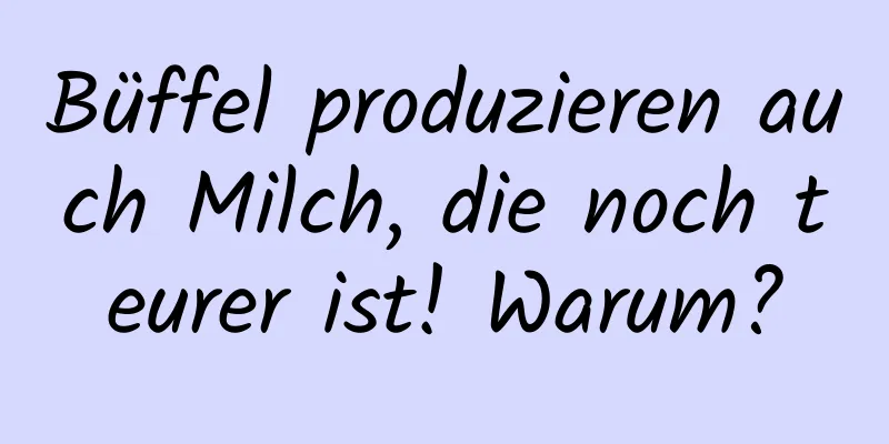 Büffel produzieren auch Milch, die noch teurer ist! Warum?