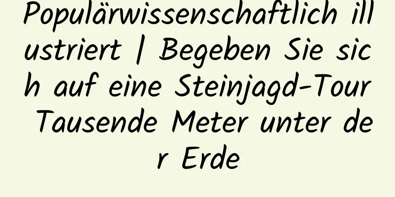 Populärwissenschaftlich illustriert | Begeben Sie sich auf eine Steinjagd-Tour Tausende Meter unter der Erde