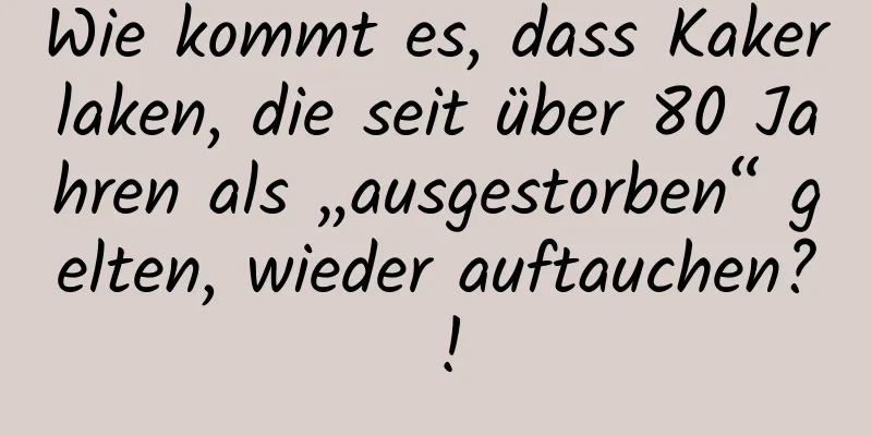 Wie kommt es, dass Kakerlaken, die seit über 80 Jahren als „ausgestorben“ gelten, wieder auftauchen? !