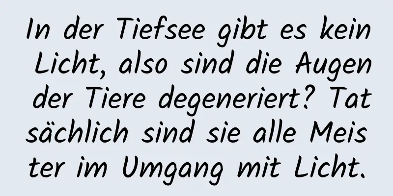 In der Tiefsee gibt es kein Licht, also sind die Augen der Tiere degeneriert? Tatsächlich sind sie alle Meister im Umgang mit Licht.