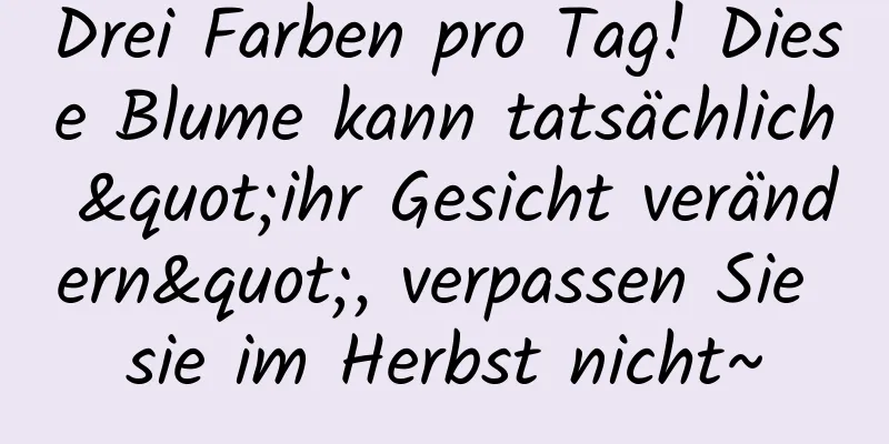 Drei Farben pro Tag! Diese Blume kann tatsächlich "ihr Gesicht verändern", verpassen Sie sie im Herbst nicht~