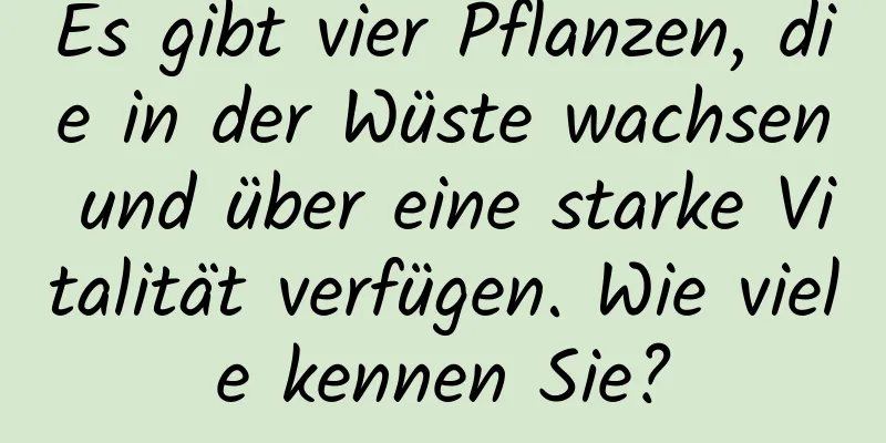 Es gibt vier Pflanzen, die in der Wüste wachsen und über eine starke Vitalität verfügen. Wie viele kennen Sie?