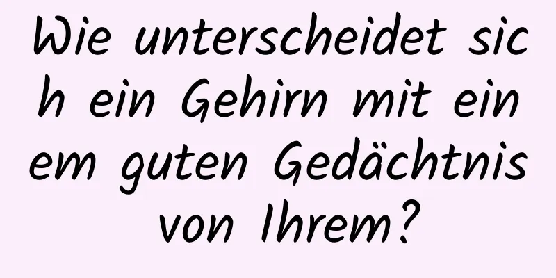 Wie unterscheidet sich ein Gehirn mit einem guten Gedächtnis von Ihrem?