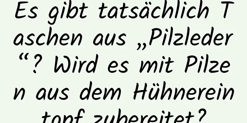 Es gibt tatsächlich Taschen aus „Pilzleder“? Wird es mit Pilzen aus dem Hühnereintopf zubereitet?