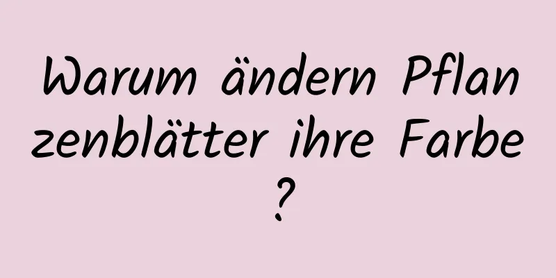 Warum ändern Pflanzenblätter ihre Farbe?