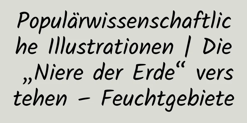 Populärwissenschaftliche Illustrationen | Die „Niere der Erde“ verstehen – Feuchtgebiete