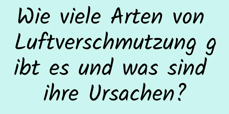 Wie viele Arten von Luftverschmutzung gibt es und was sind ihre Ursachen?