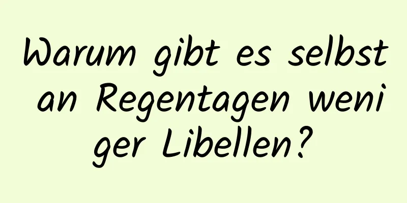 Warum gibt es selbst an Regentagen weniger Libellen?