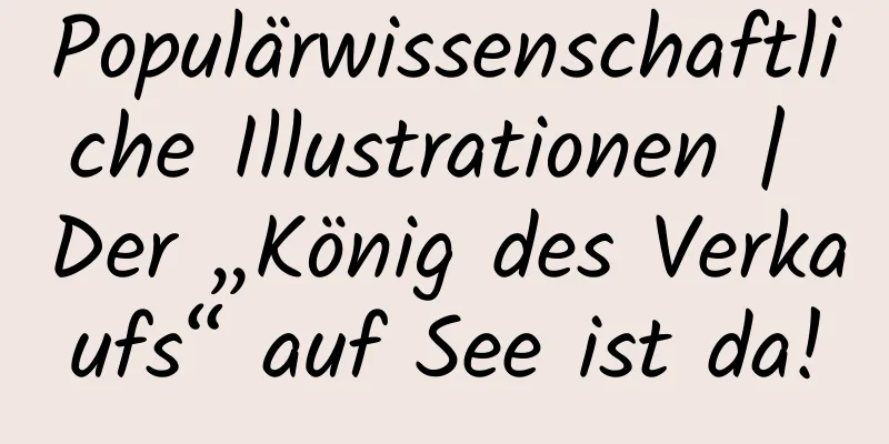 Populärwissenschaftliche Illustrationen | Der „König des Verkaufs“ auf See ist da!