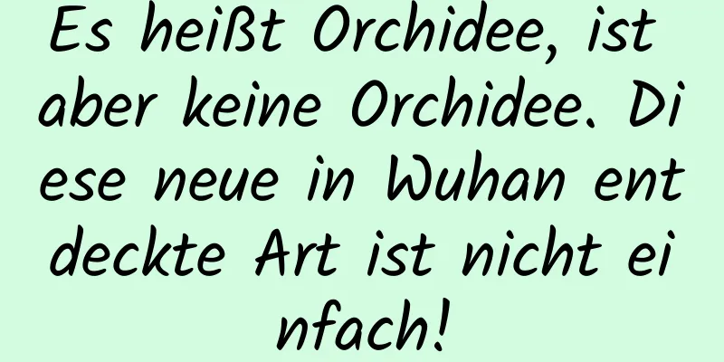 Es heißt Orchidee, ist aber keine Orchidee. Diese neue in Wuhan entdeckte Art ist nicht einfach!