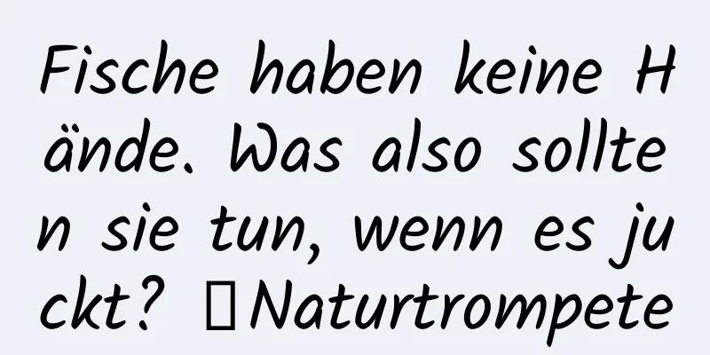 Fische haben keine Hände. Was also sollten sie tun, wenn es juckt? ｜Naturtrompete