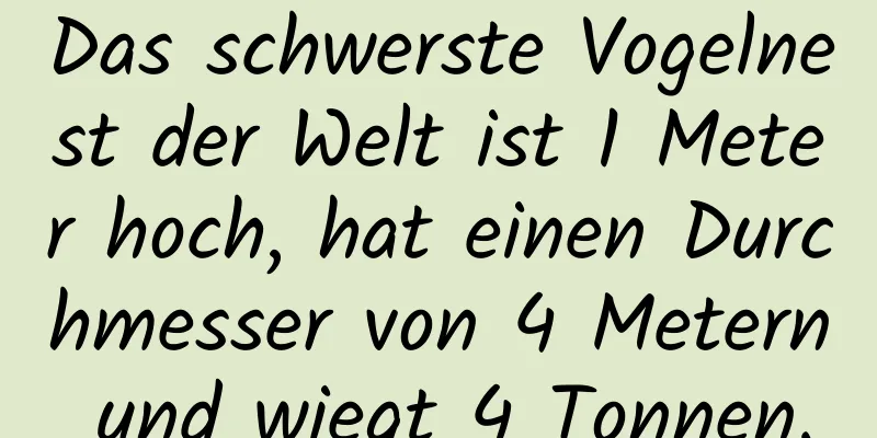 Das schwerste Vogelnest der Welt ist 1 Meter hoch, hat einen Durchmesser von 4 Metern und wiegt 4 Tonnen.