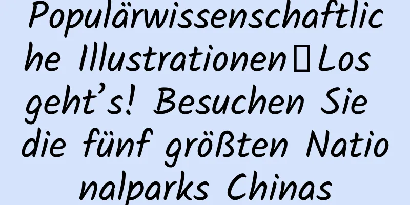 Populärwissenschaftliche Illustrationen｜Los geht’s! Besuchen Sie die fünf größten Nationalparks Chinas