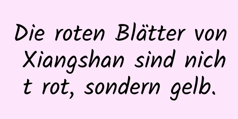 Die roten Blätter von Xiangshan sind nicht rot, sondern gelb.