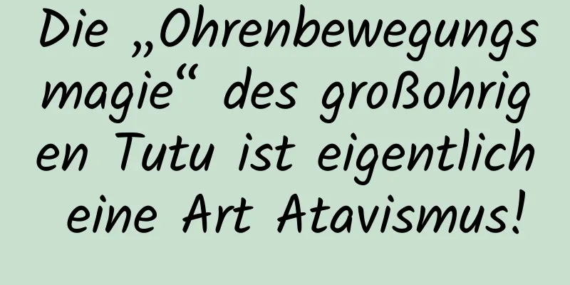 Die „Ohrenbewegungsmagie“ des großohrigen Tutu ist eigentlich eine Art Atavismus!