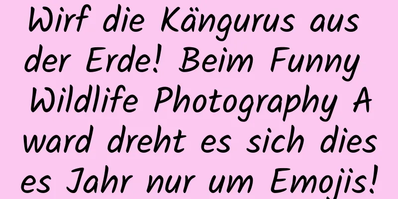 Wirf die Kängurus aus der Erde! Beim Funny Wildlife Photography Award dreht es sich dieses Jahr nur um Emojis!