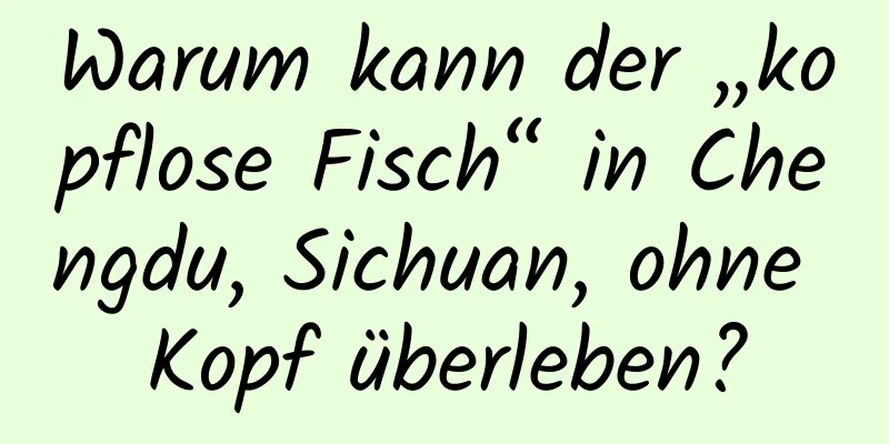 Warum kann der „kopflose Fisch“ in Chengdu, Sichuan, ohne Kopf überleben?