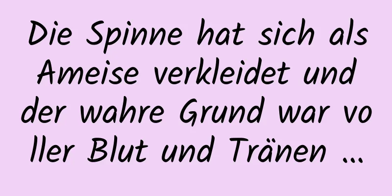 Die Spinne hat sich als Ameise verkleidet und der wahre Grund war voller Blut und Tränen …