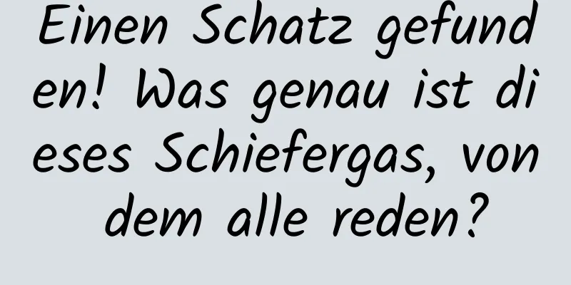 Einen Schatz gefunden! Was genau ist dieses Schiefergas, von dem alle reden?