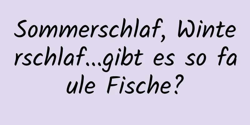 Sommerschlaf, Winterschlaf...gibt es so faule Fische?