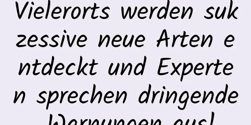 Vielerorts werden sukzessive neue Arten entdeckt und Experten sprechen dringende Warnungen aus!