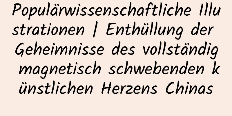 Populärwissenschaftliche Illustrationen | Enthüllung der Geheimnisse des vollständig magnetisch schwebenden künstlichen Herzens Chinas
