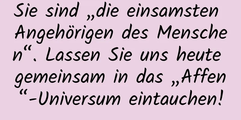 Sie sind „die einsamsten Angehörigen des Menschen“. Lassen Sie uns heute gemeinsam in das „Affen“-Universum eintauchen!